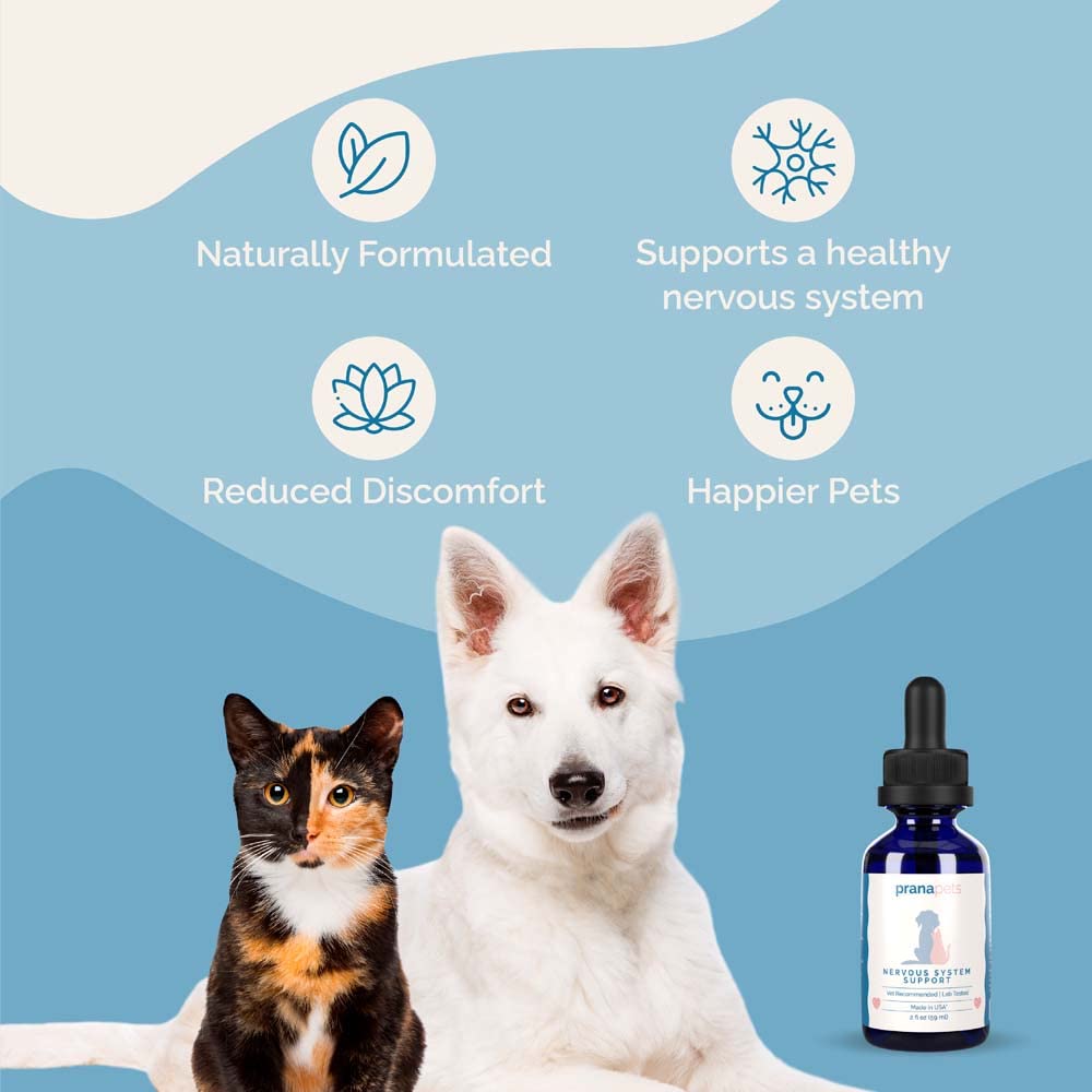 Herbal Formula for Dogs and Cats 2 Pack M6612