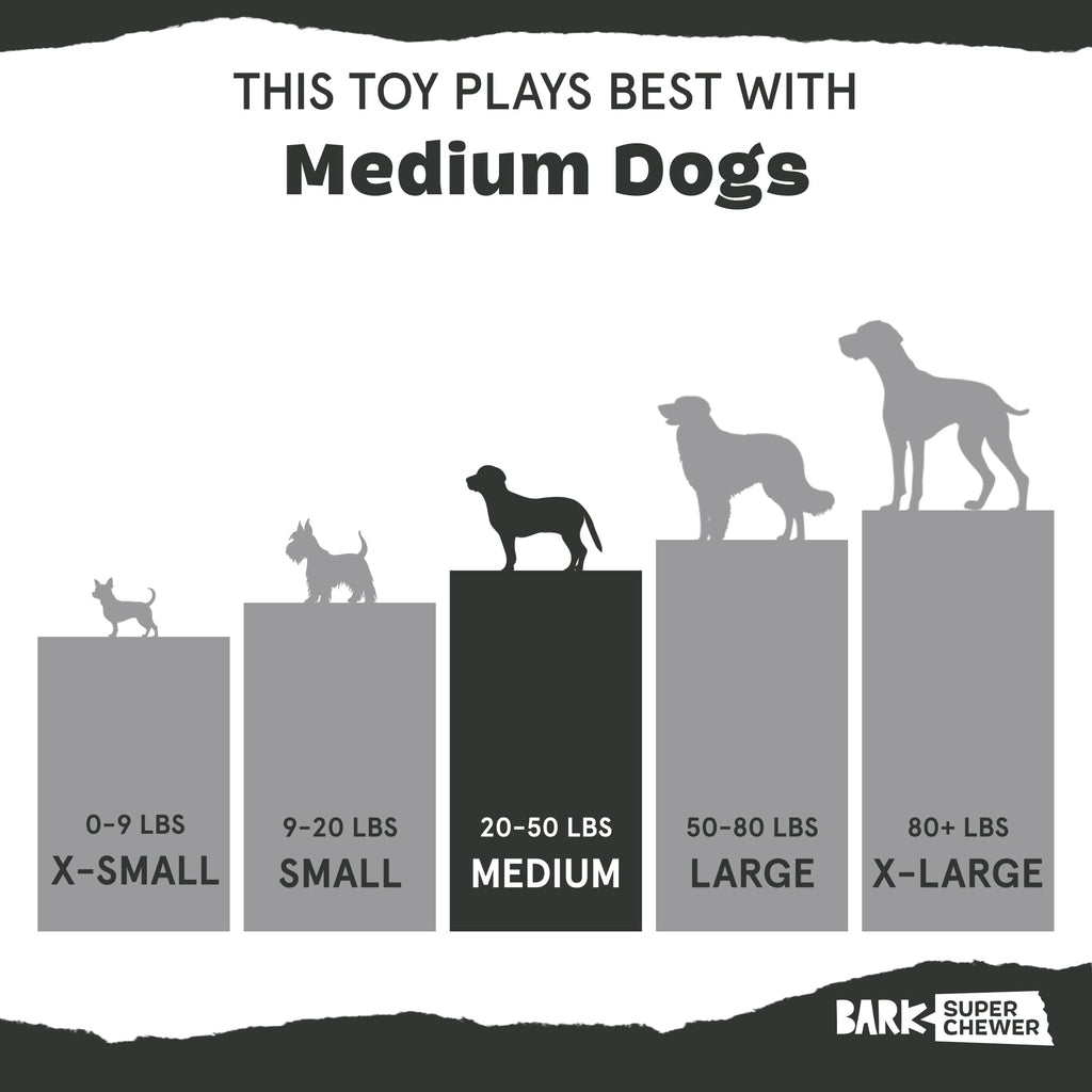 Dog Toy L39735