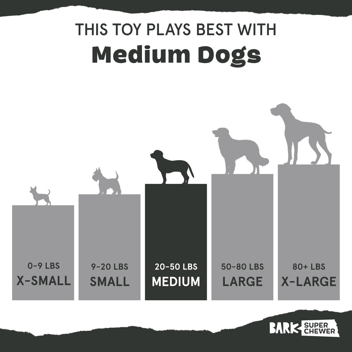 Dog Toy L39735