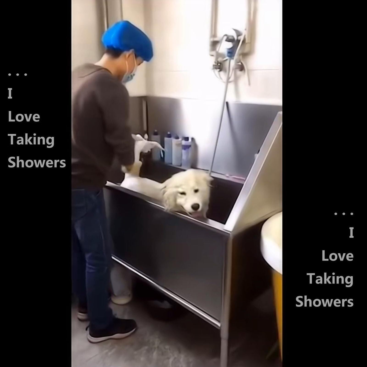 Stainless Steel Pet Grooming Bath Tub G3035