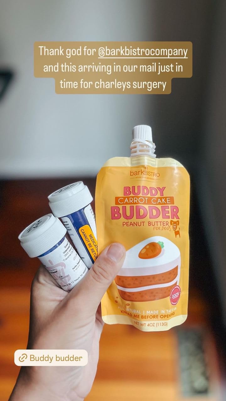 6 Pack 4oz Natural Dog Peanut Butter Squeeze Packs L1516