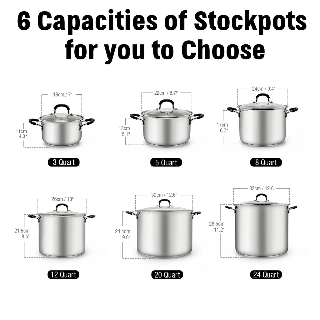 12-Quart Stainless Steel Stock Pot with Lid W693