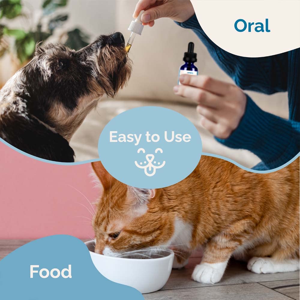Herbal Formula for Dogs and Cats 2 Pack M6612