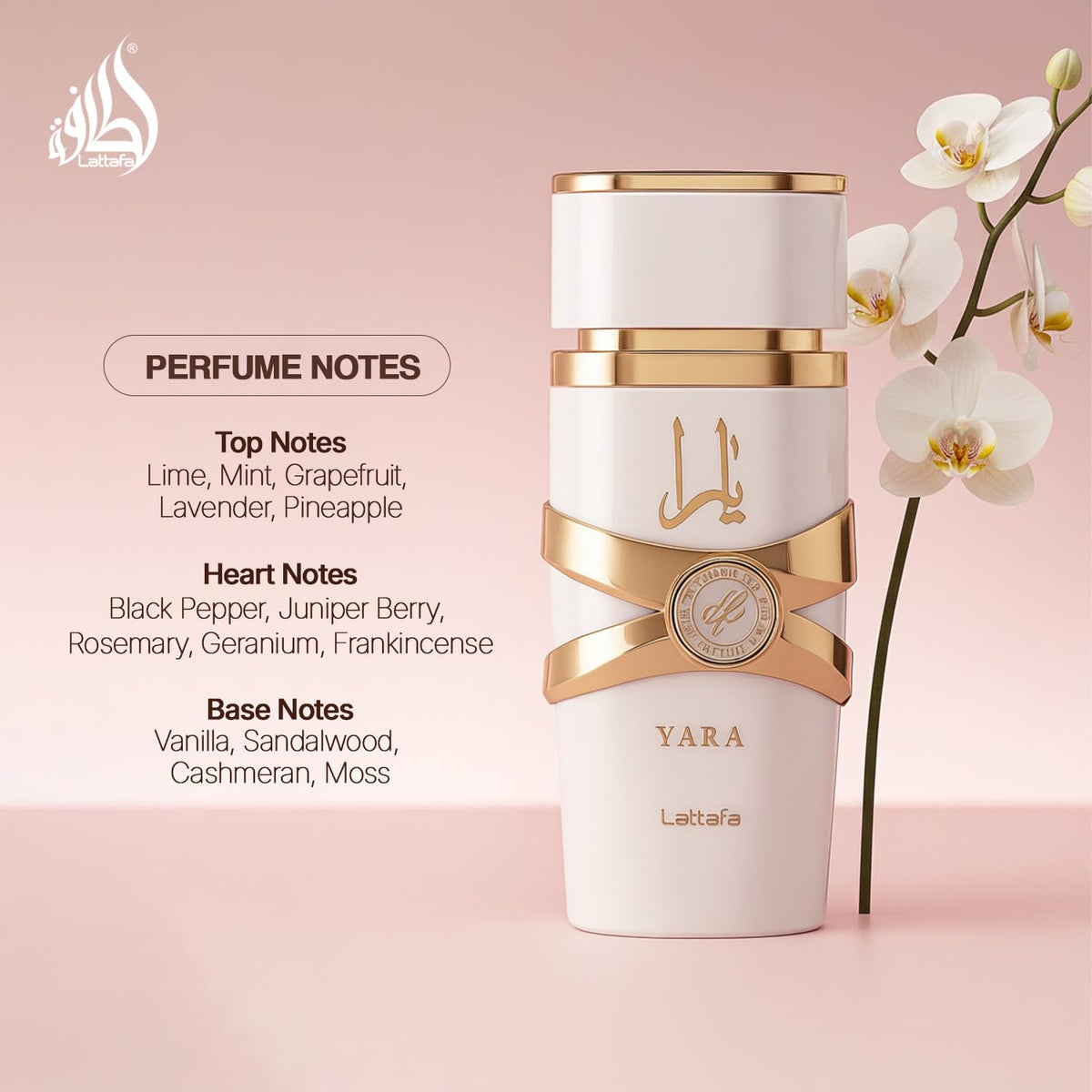 Floral Fruity Gourmand Eau de Parfum 3.40 Ounce / 100 ml Y18976