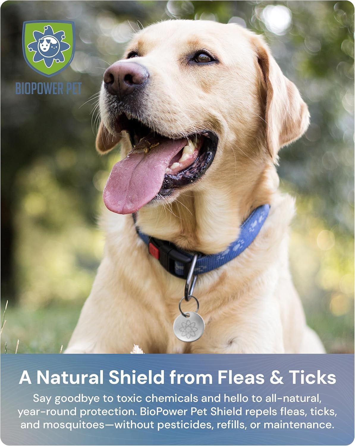 Natural Flea & Tick Repellent Collar Tag for Dogs & Cats Stainless Steel 2 Pack U3684