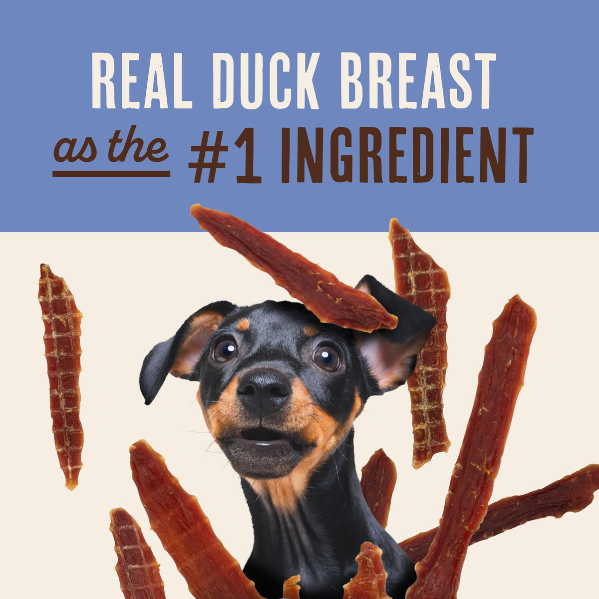 Duck Jerky Dog Treats 12 oz H839572