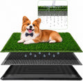 3 Layer Dog Grass Pad with Tray 30" x 20" B619543