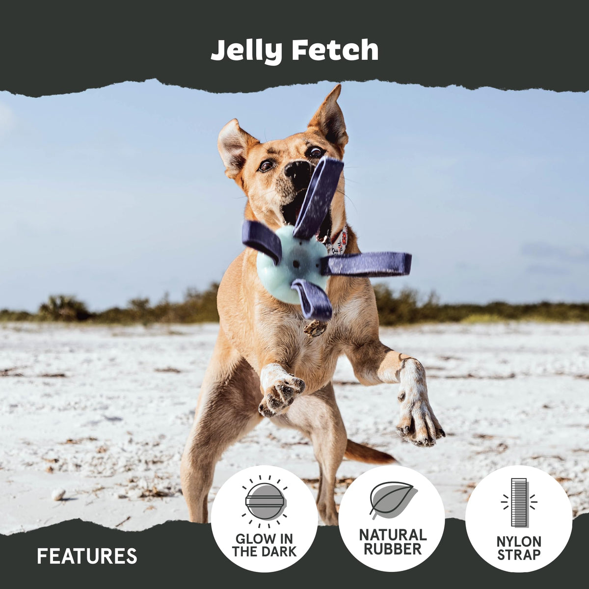 Dog Toy L39735