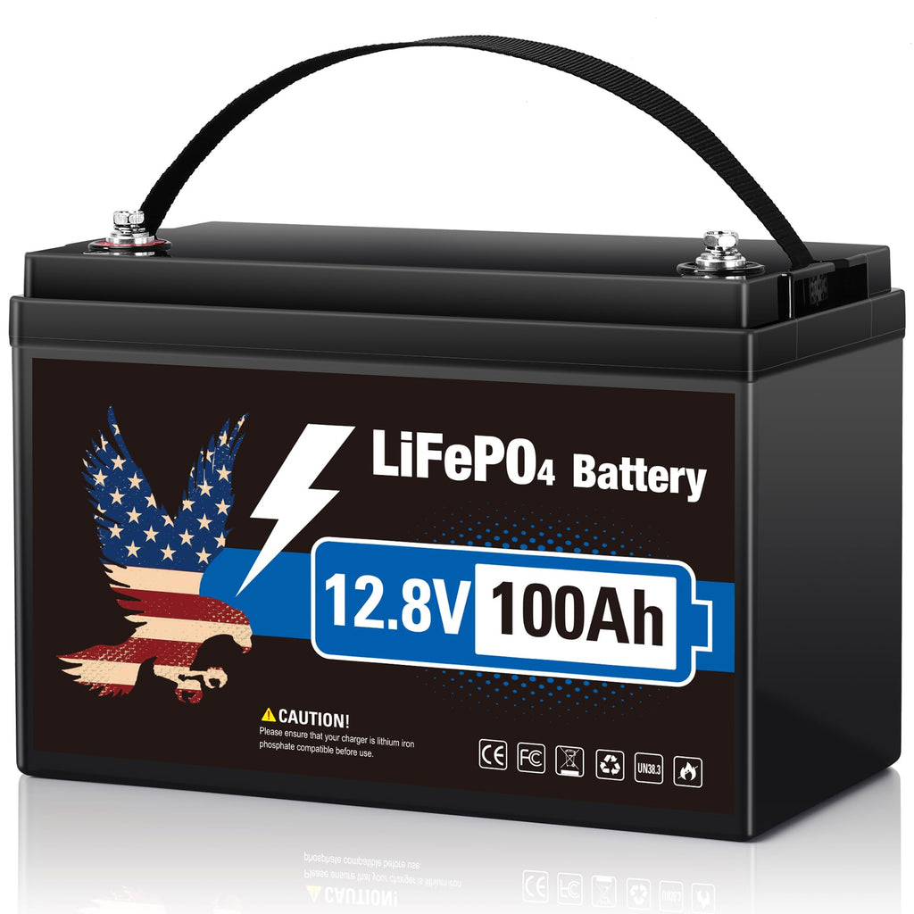 12V 100Ah LiFePO4 Lithium Battery Group 31 M5936