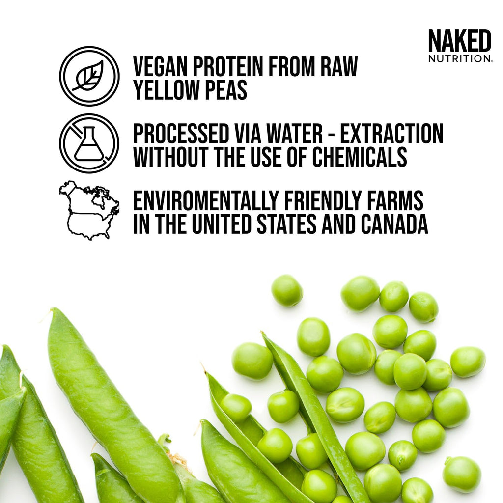 Chocolate Pea Protein Isolate 5LB and Micronized Creatine Monohydrate 500g Vegan Non-GMO U4781