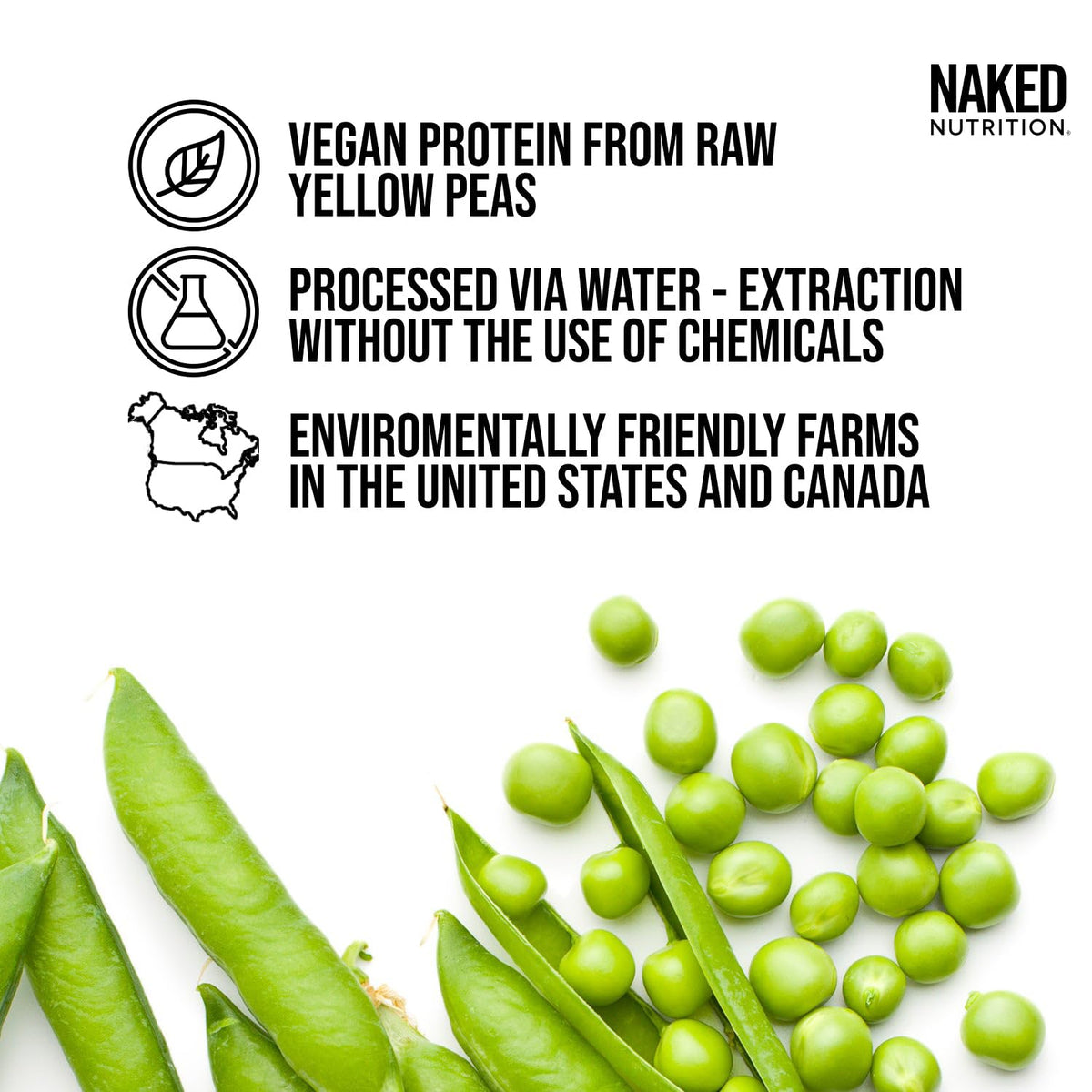 Chocolate Pea Protein Isolate 5LB and Micronized Creatine Monohydrate 500g Vegan Non-GMO U4781