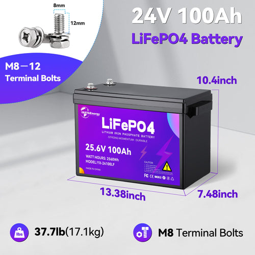 24v 100ah LiFePO4 Lithium Battery with 100A BMS Y3897