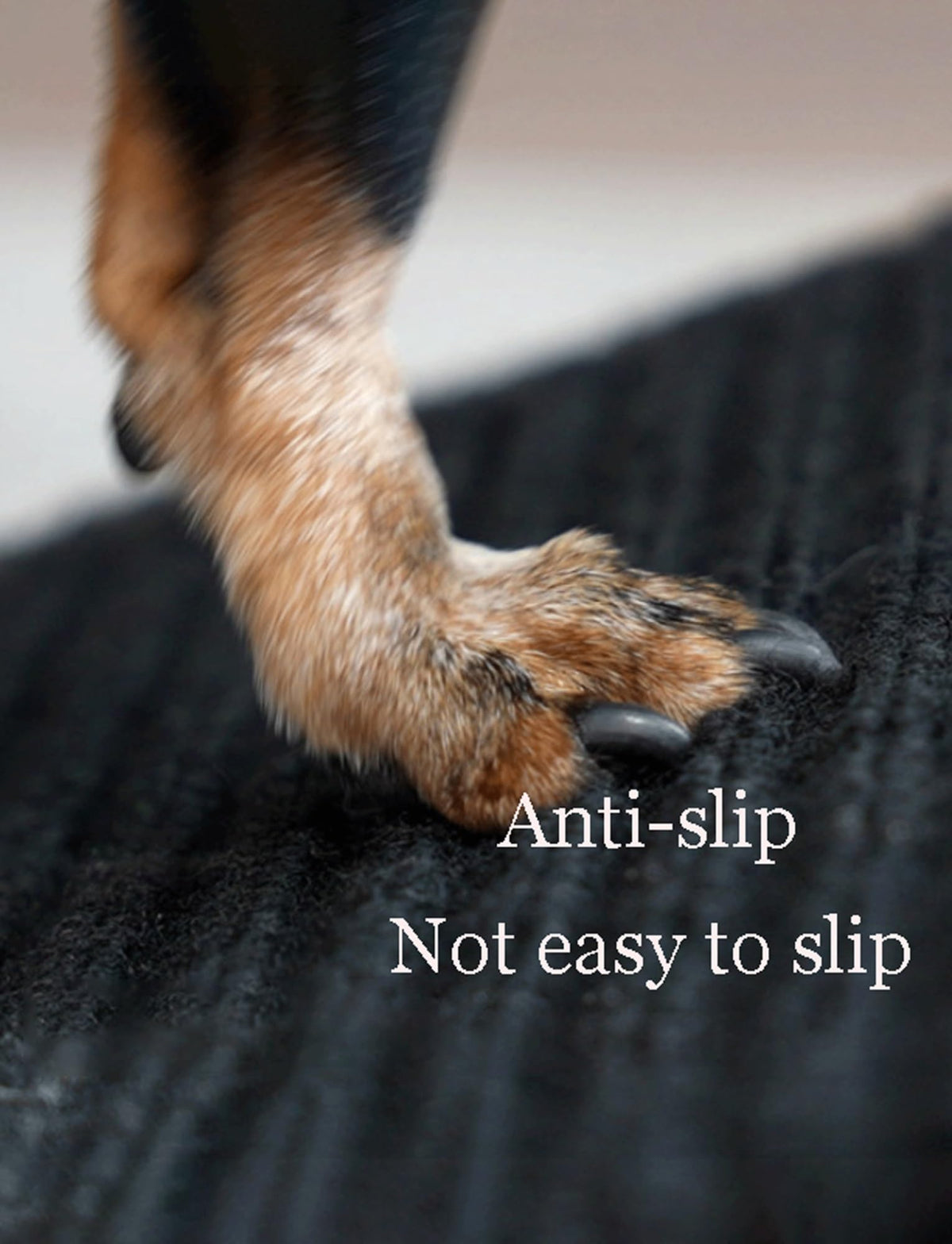 Non-Slip Pet Ramp L308085