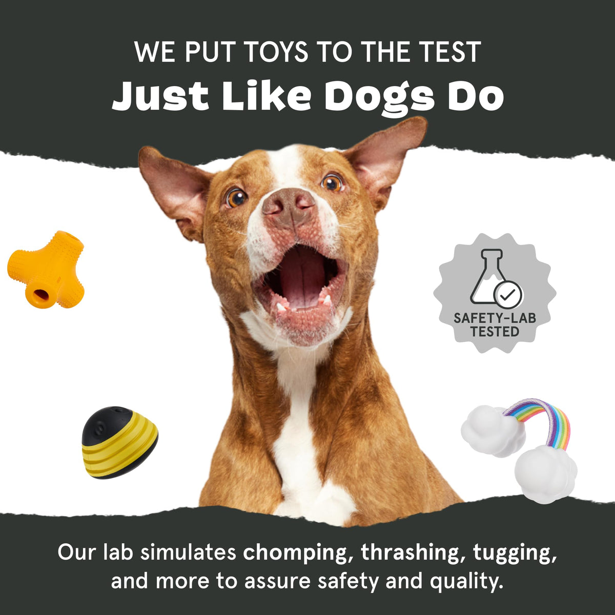 Dog Toy L39735