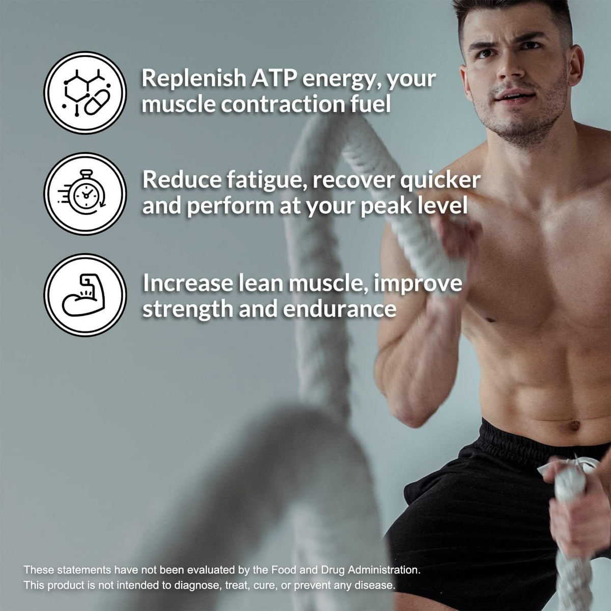 Chocolate Pea Protein Isolate 5LB and Micronized Creatine Monohydrate 500g Vegan Non-GMO U4781