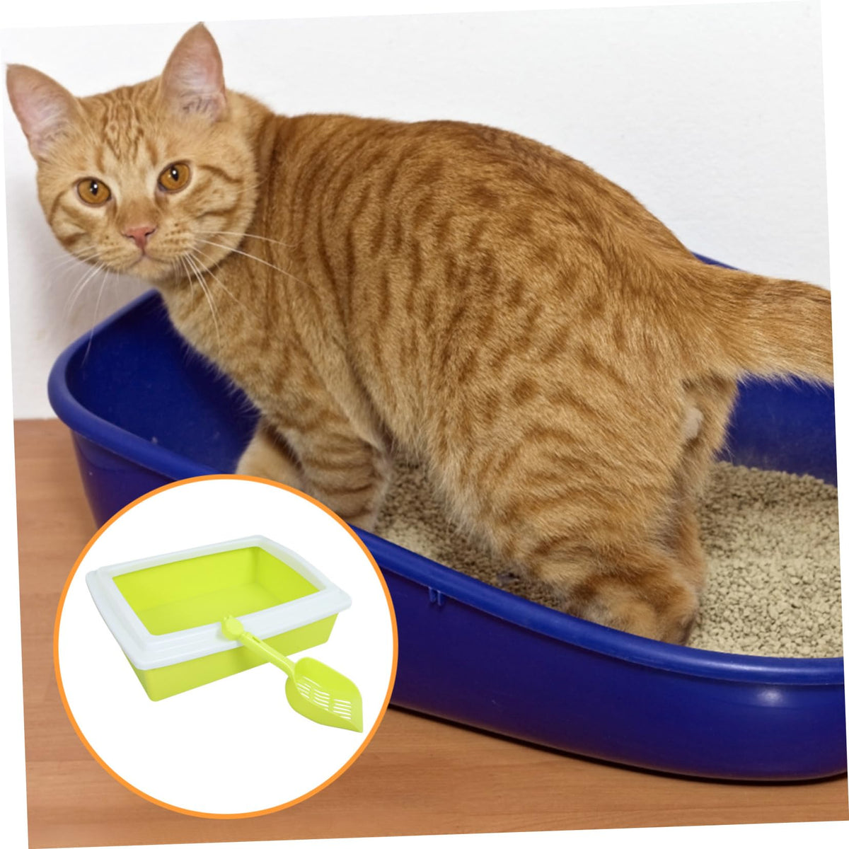 Sifting Cat Litter Box with Frame T8518
