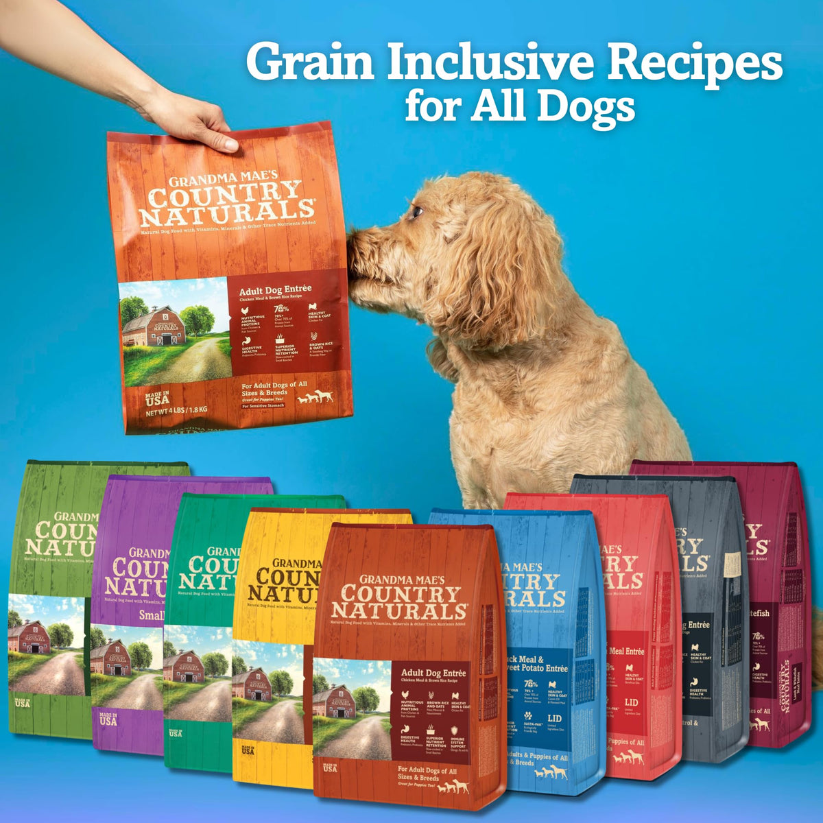 Chicken & Brown Rice Dry Dog Food 14 LB Bag H1902