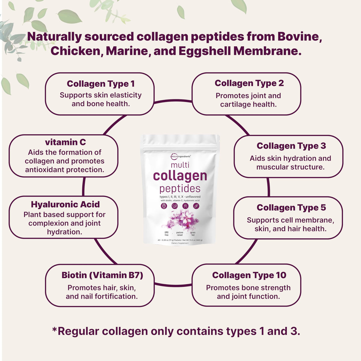 Multi Collagen Peptides Powder, 40 Stick Packs, Type I, II, III, V, X R76880