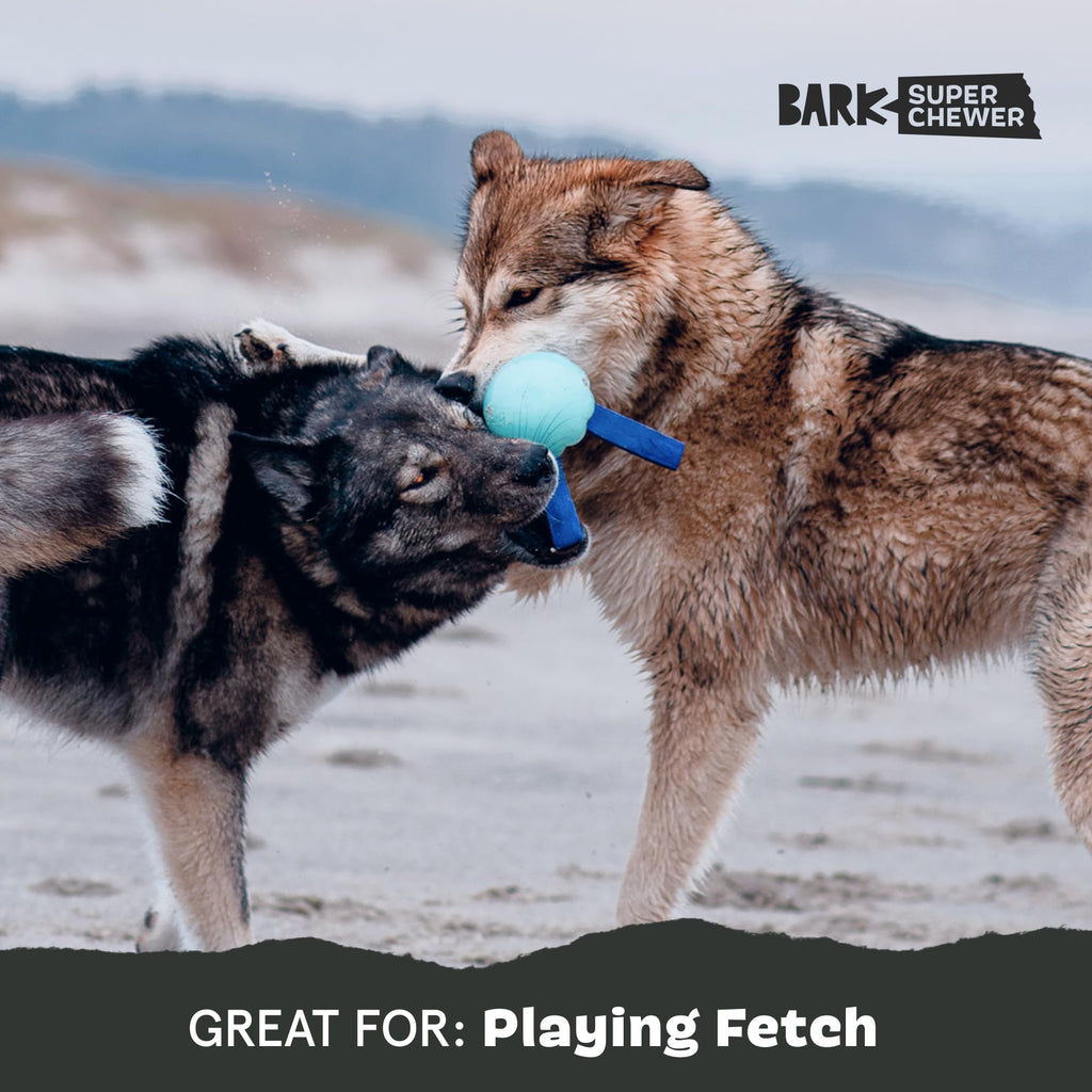 Dog Toy L39735