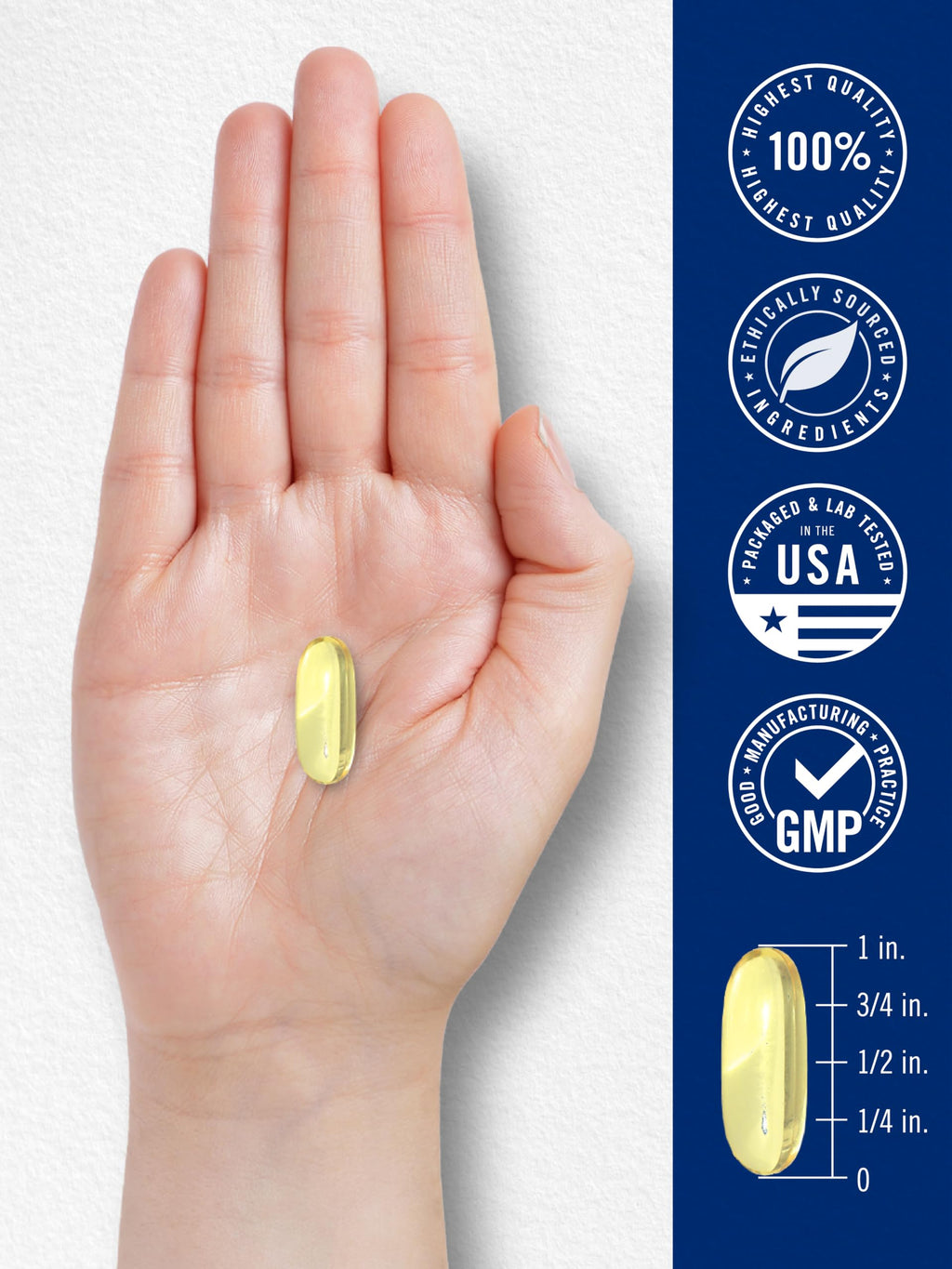 Fish Oil 3600mg 1080mg Omega 3 120 Count D147558