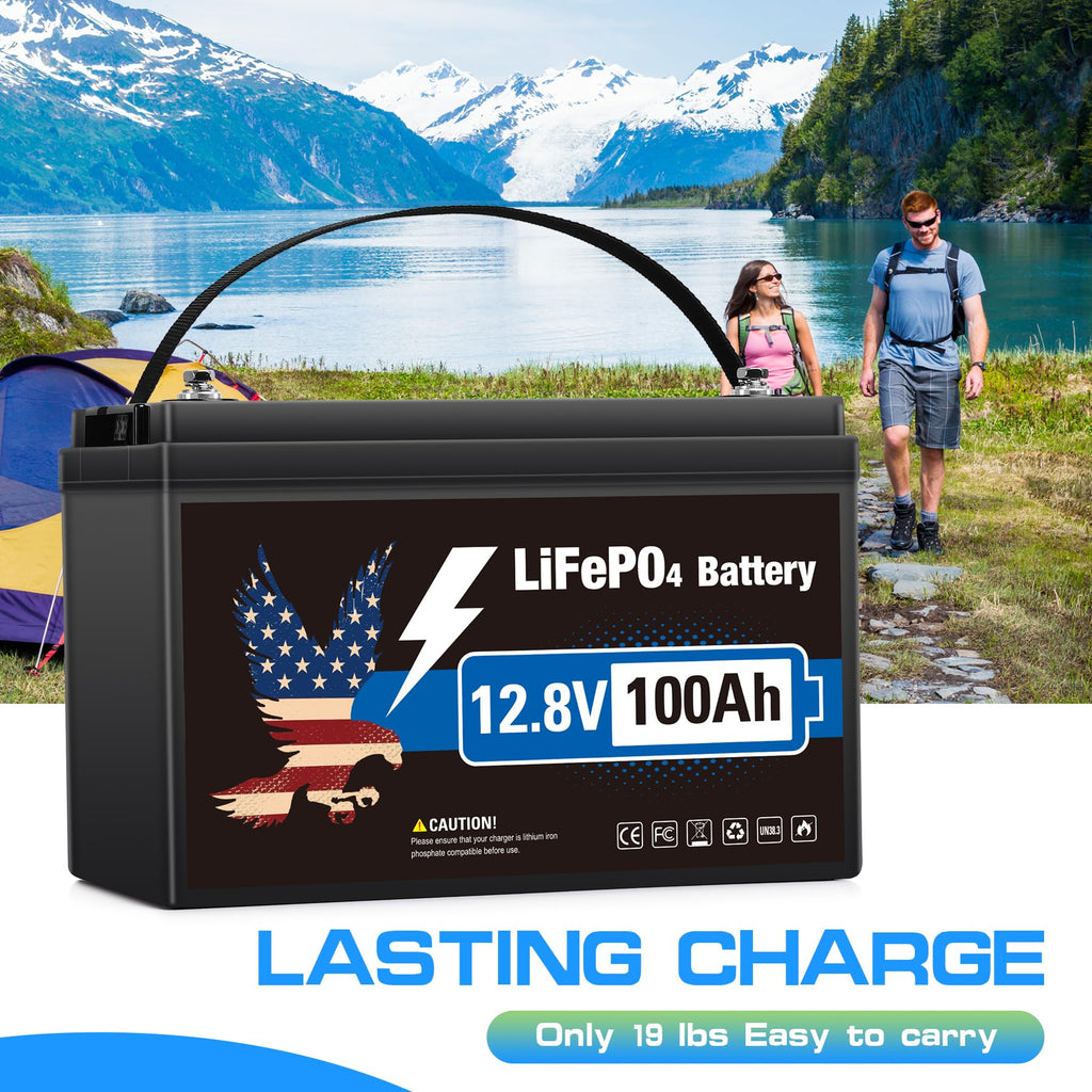 12V 100Ah LiFePO4 Lithium Battery Group 31 M5936