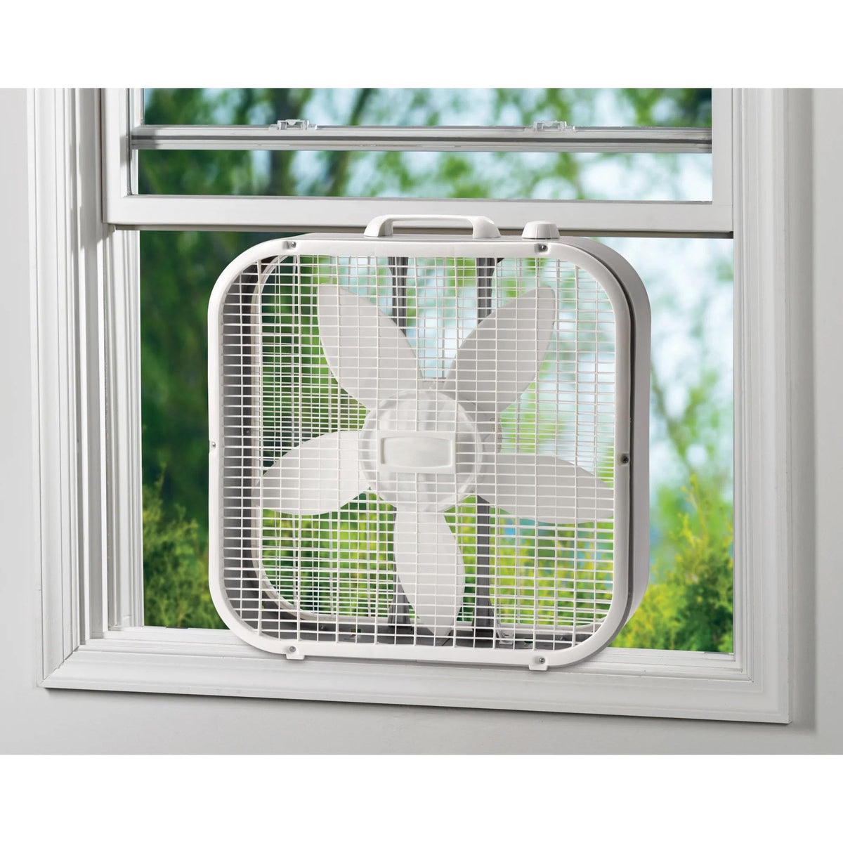 20" Classic Box Fan with 3 Speeds, White L19627