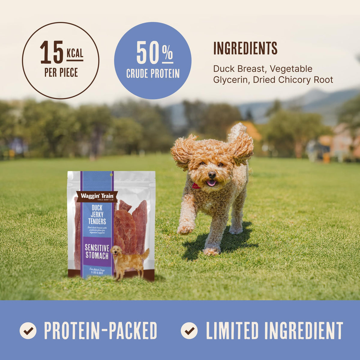 Duck Jerky Dog Treats 12 oz H839572