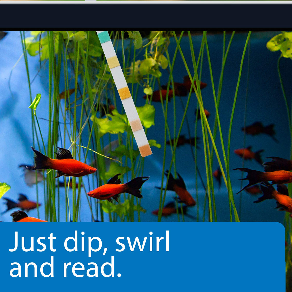 5-in-1 Aquarium Test Strips 4-Count E6271