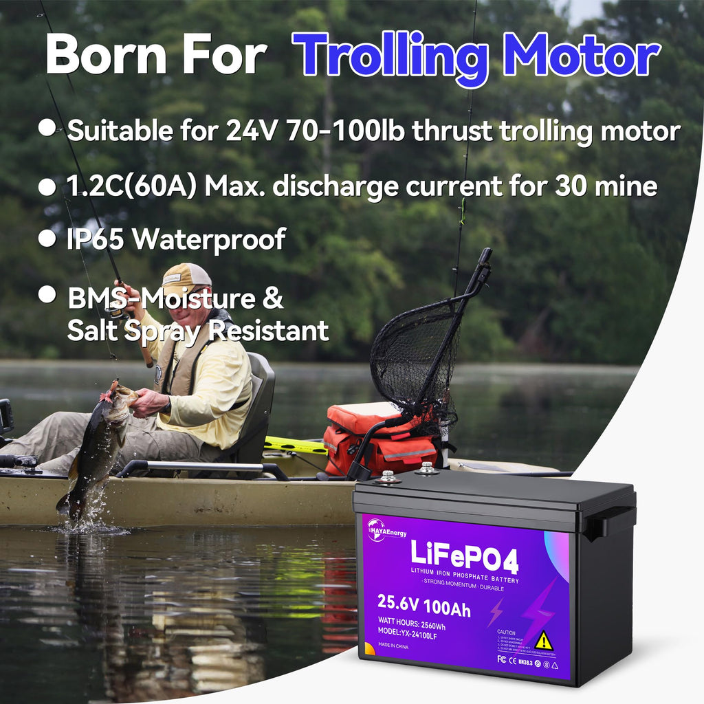 24v 100ah LiFePO4 Lithium Battery with 100A BMS Y3897