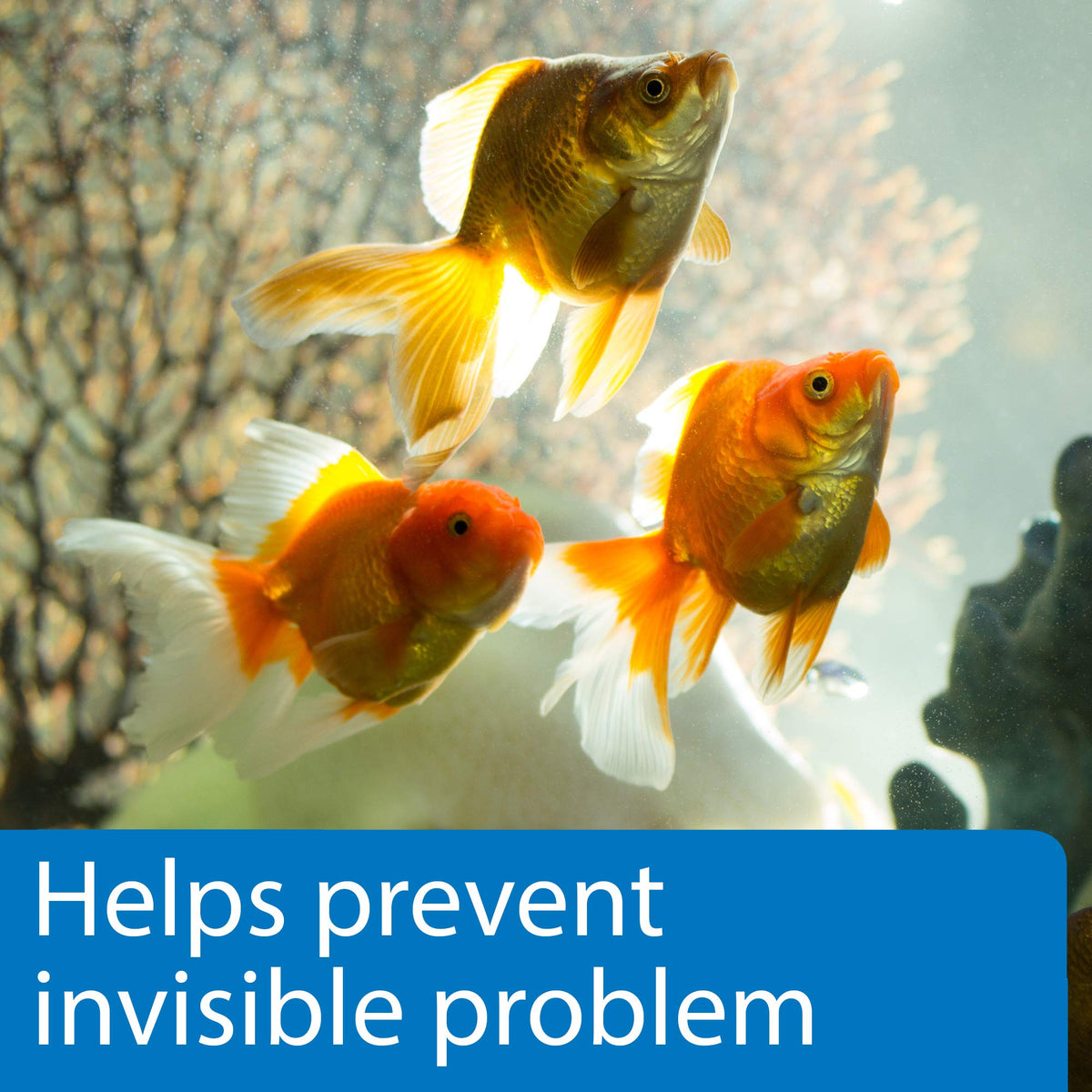 5-in-1 Aquarium Test Strips 4-Count E6271